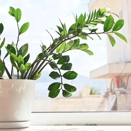 Sea & View 3* 사밀