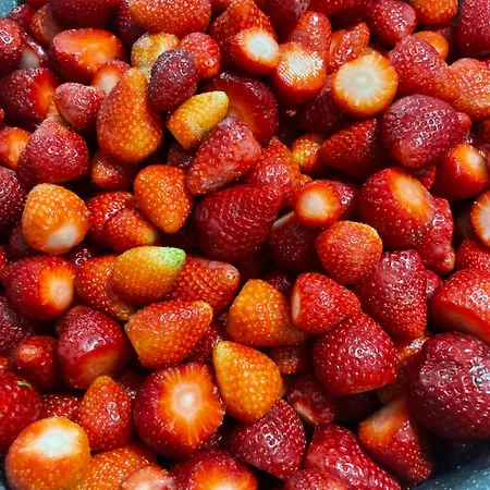 Sea & View クサミル