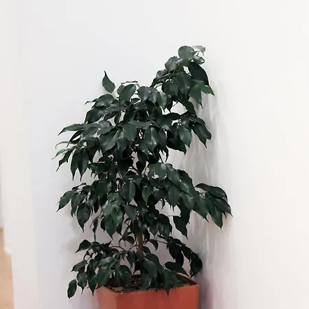 Pensión Sea & View Ksamil